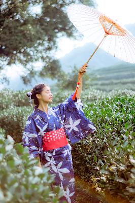 免费观看在线樱花电影大全？这些数字电影你不能错过！